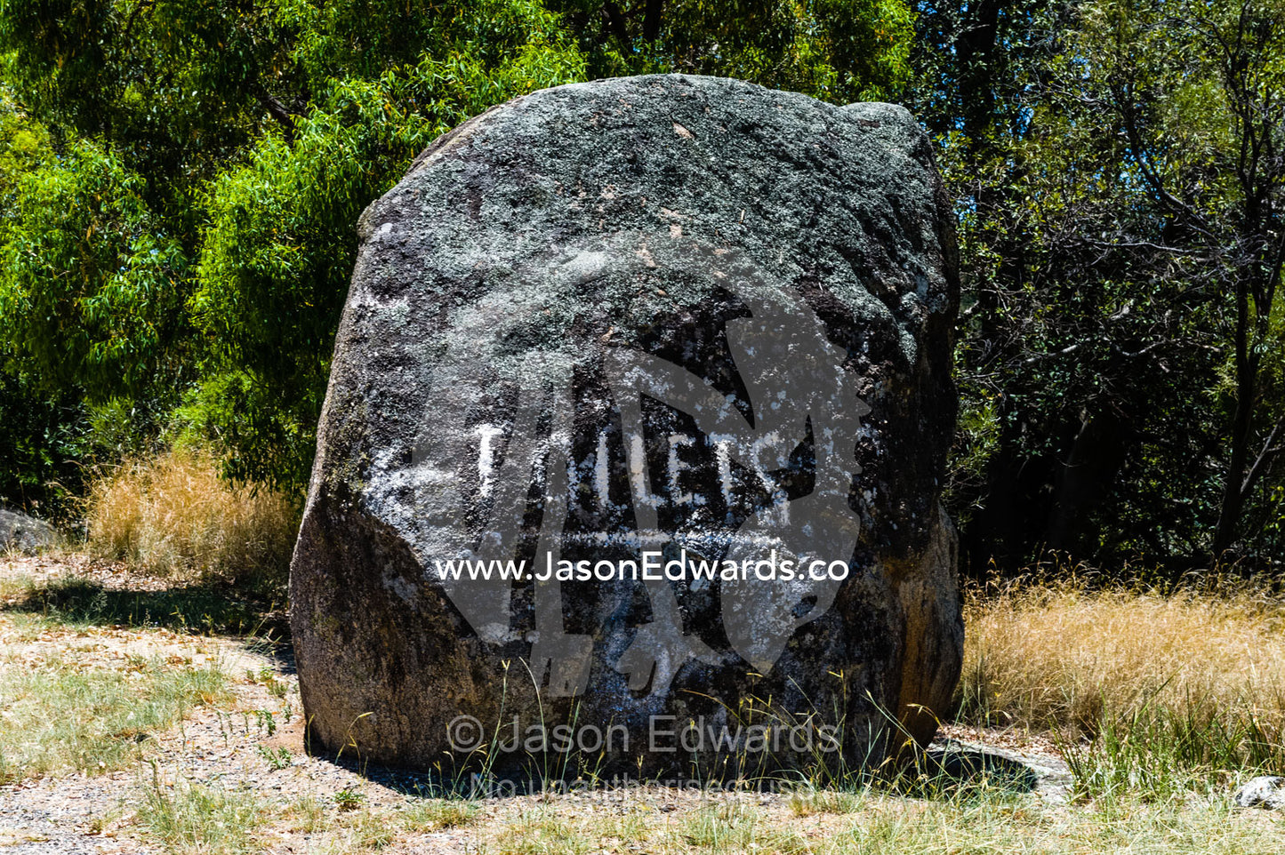 A toilet sign painted on a boulder in a farming district. Glen Innes, New South Wales, Australia.