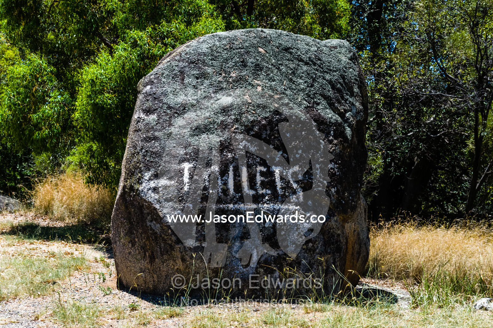 A toilet sign painted on a boulder in a farming district. Glen Innes, New South Wales, Australia.