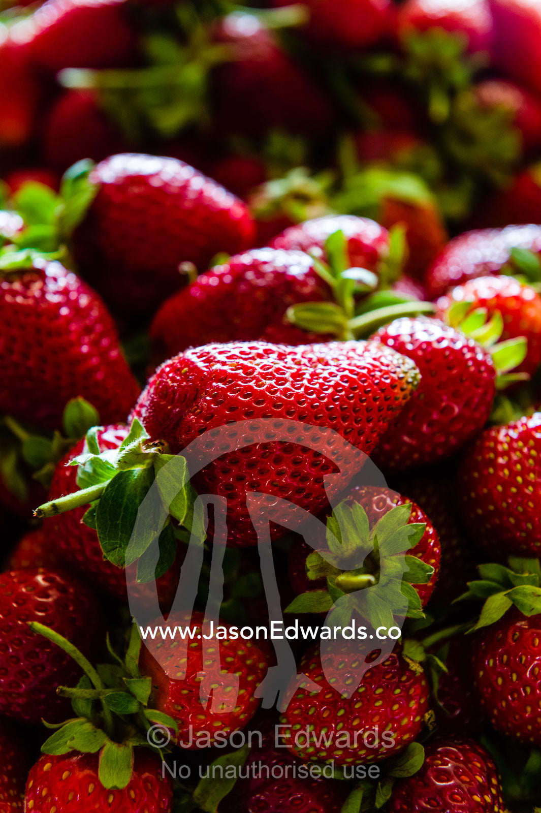 A mound of lush ripe strawberries for sale after harvesting. Glen Innes, New South Wales, Australia.