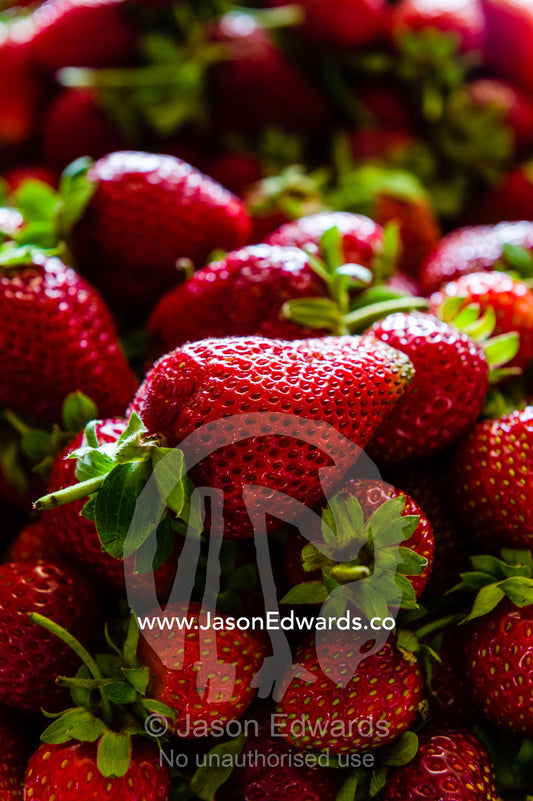 A mound of lush ripe strawberries for sale after harvesting. Glen Innes, New South Wales, Australia.