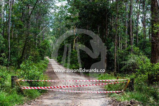 Emergency services tape across a forest track during bushfires. Gibraltar Range National Park, New South Wales, Australia.