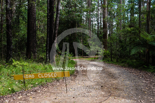 Emergency services road closed sign on a forest track during bushfires. Gibraltar Range National Park, New South Wales, Australia.