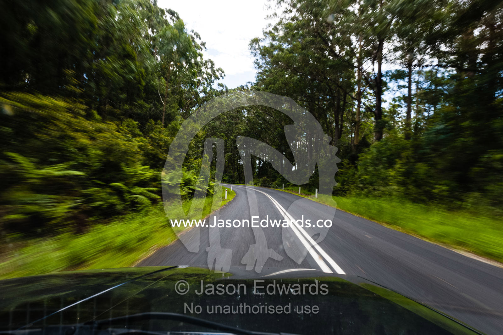 Driving along a mountain road through a highland forest. Gibraltar Range National Park, New South Wales, Australia.