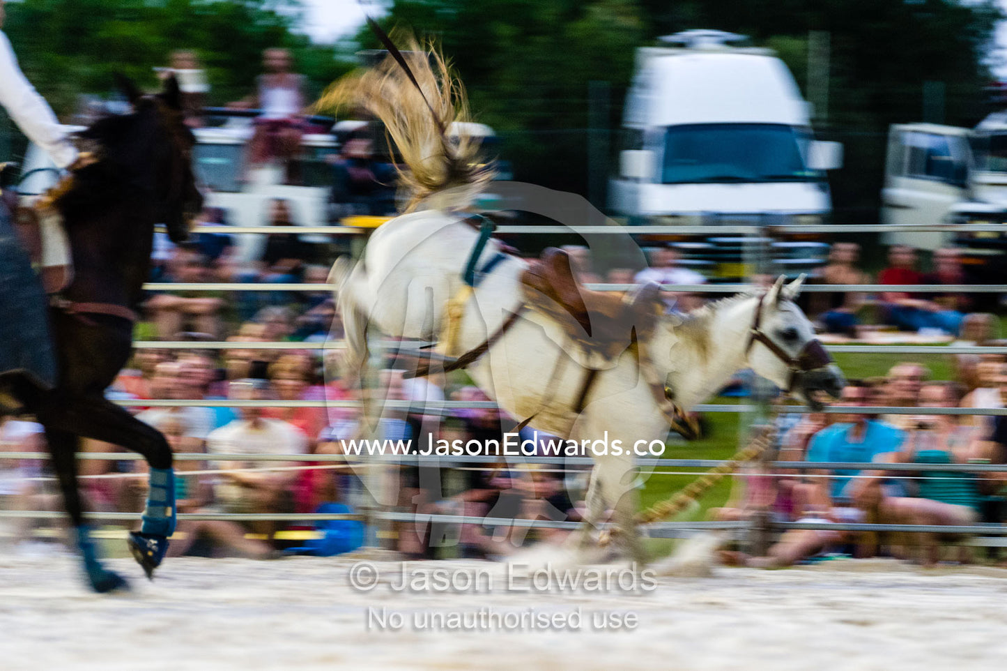 A horse leaps around the arena after throwing off his rider at a rodeo. Byron Bay, New South Wales, Australia.