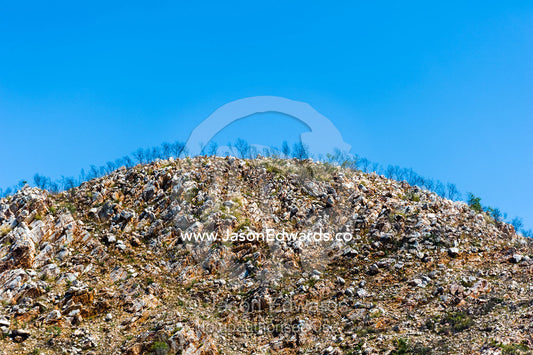 A barren rocky hilltop covered in dead trees in the desert. Yampi Sound, Buccaneer Archipelego, Kimberley Coast, Western Australia, Australia.