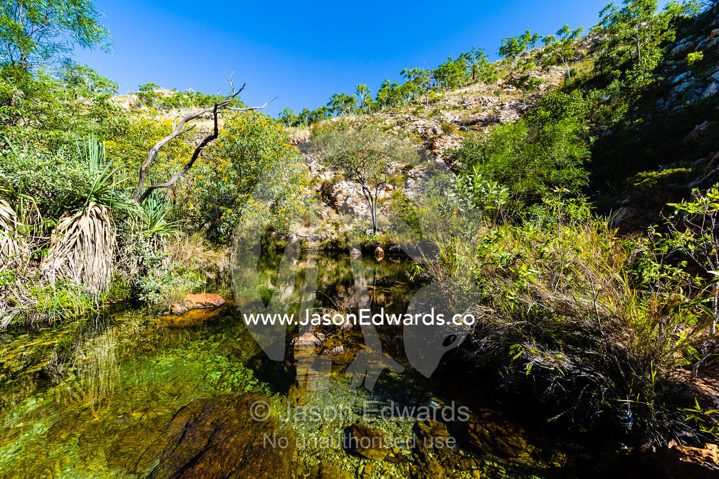 A tree-lined freshwater river pool on a desert escarpment. Crocodile Creek, Kimberley Coast, Western Australia, Australia.