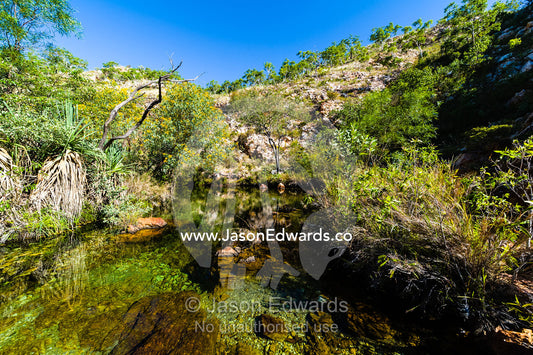 A tree-lined freshwater river pool on a desert escarpment. Crocodile Creek, Kimberley Coast, Western Australia, Australia.