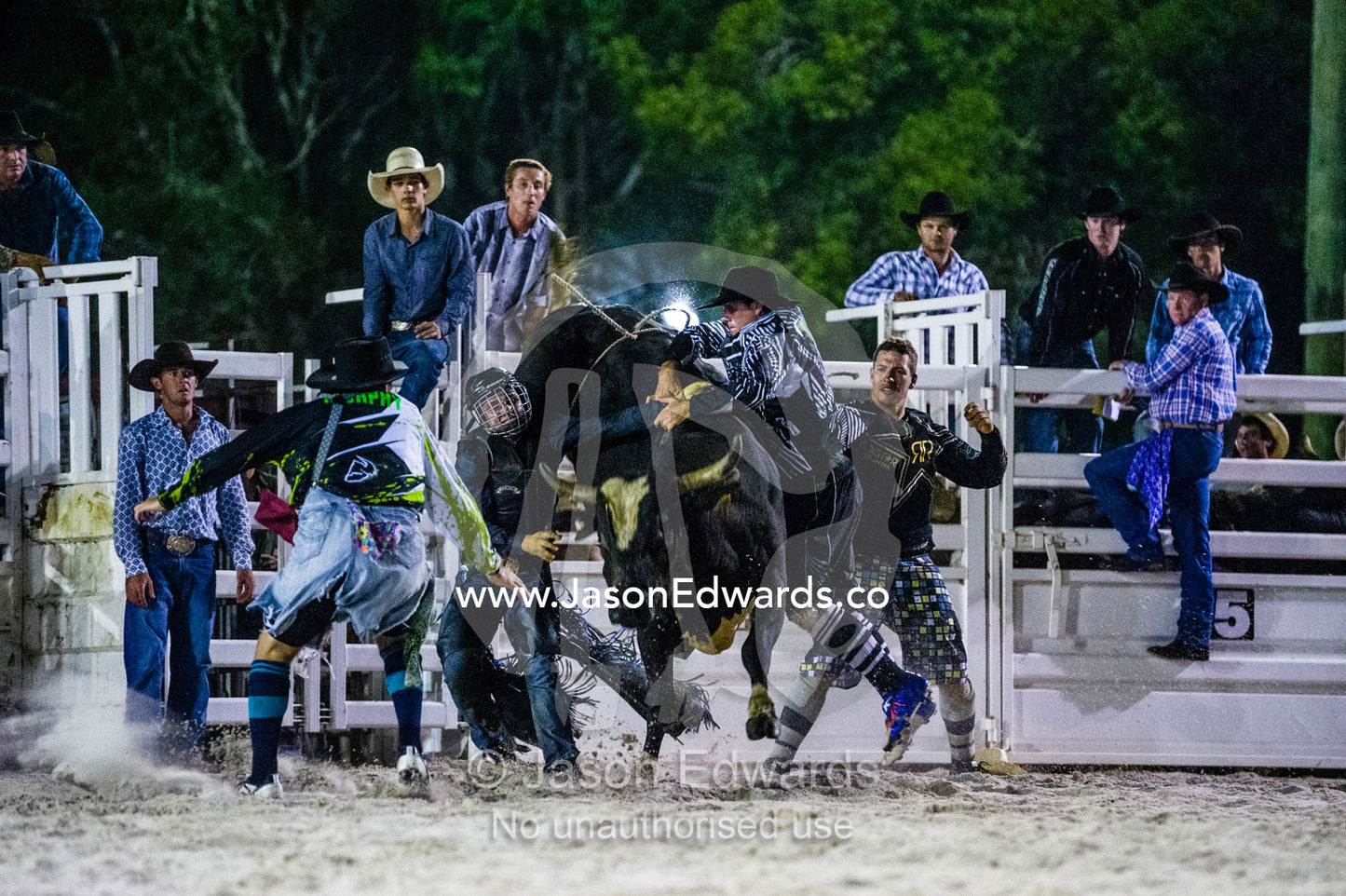 Rodeo clowns rescue a cowboy with his hand trapped in the bull rope of a steer. Byron Bay, New South Wales, Australia.