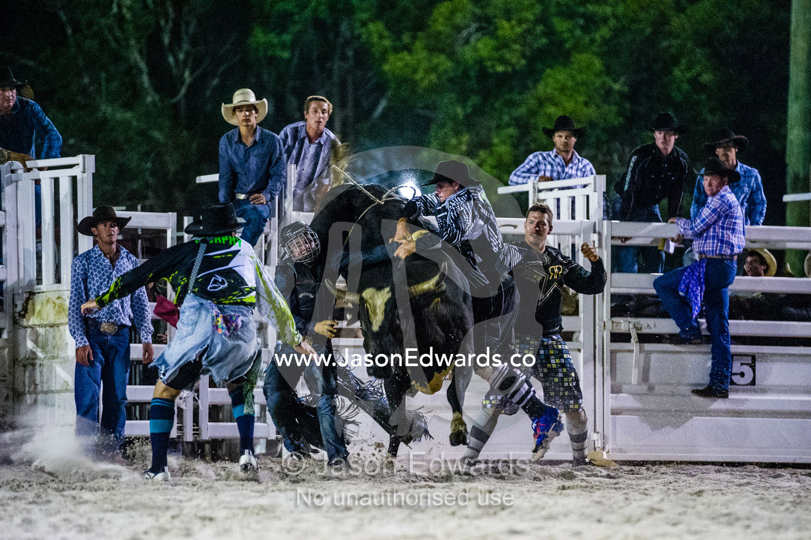 Rodeo clowns rescue a cowboy with his hand trapped in the bull rope of a steer. Byron Bay, New South Wales, Australia.