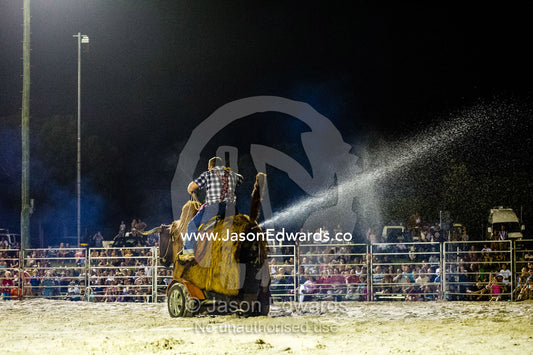 A rodeo clown rides a fake steer that sprays water on the crowd. Byron Bay, New South Wales, Australia.