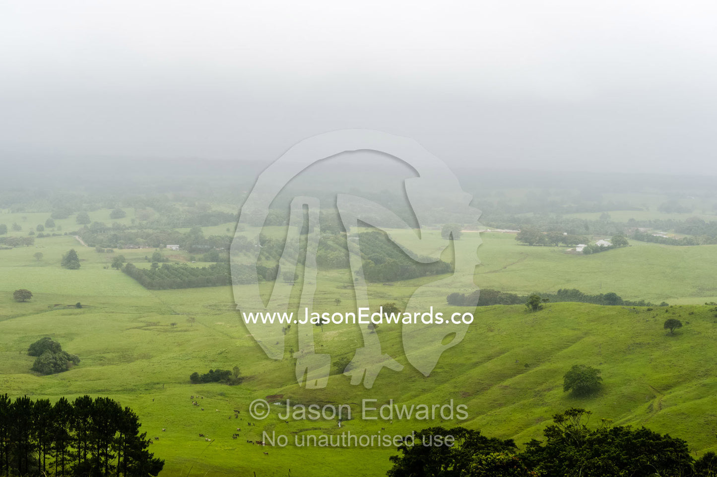 Mist and rain descend on rolling green hills and farmland. Mullumbimby, New South Wales, Australia.