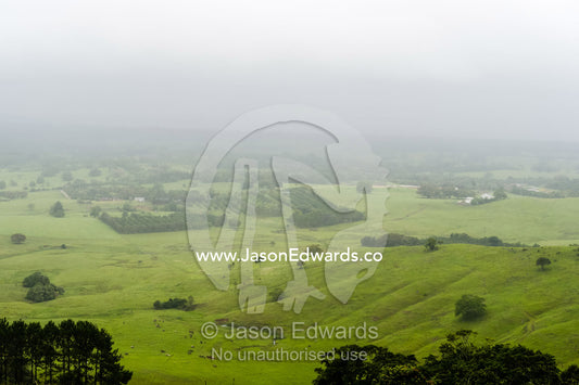 Mist and rain descend on rolling green hills and farmland. Mullumbimby, New South Wales, Australia.