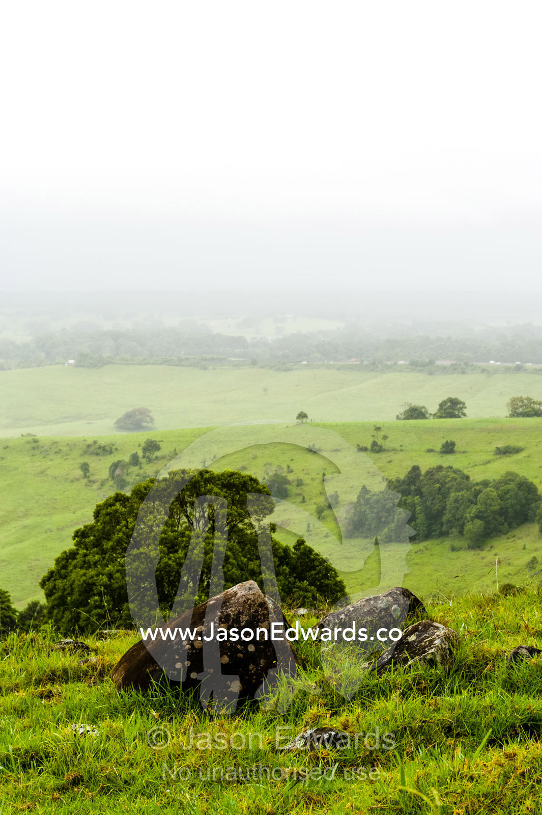 Mist and rain descend on rolling green hills and farmland. Mullumbimby, New South Wales, Australia.