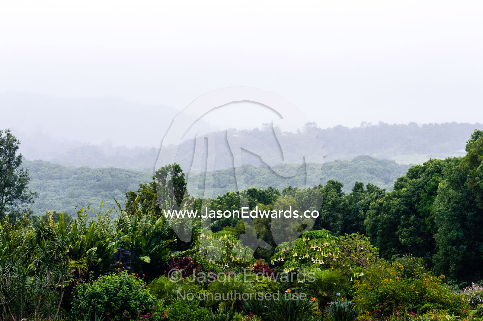 Mist and rain descend over a botanical garden. Crystal Castle, Shambhala Gardens, Mullumbimby, New South Wales, Australia.