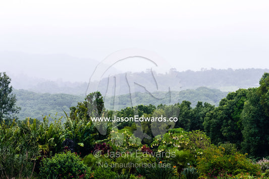 Mist and rain descend over a botanical garden. Crystal Castle, Shambhala Gardens, Mullumbimby, New South Wales, Australia.