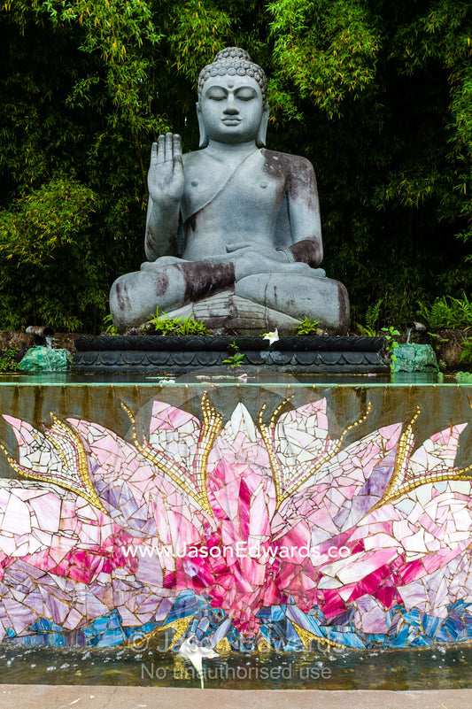 A statue of buddha offering a blessing over a lotus pond in a botanical garden. Crystal Castle, Shambhala Gardens, Mullumbimby, New South Wales, Australia.