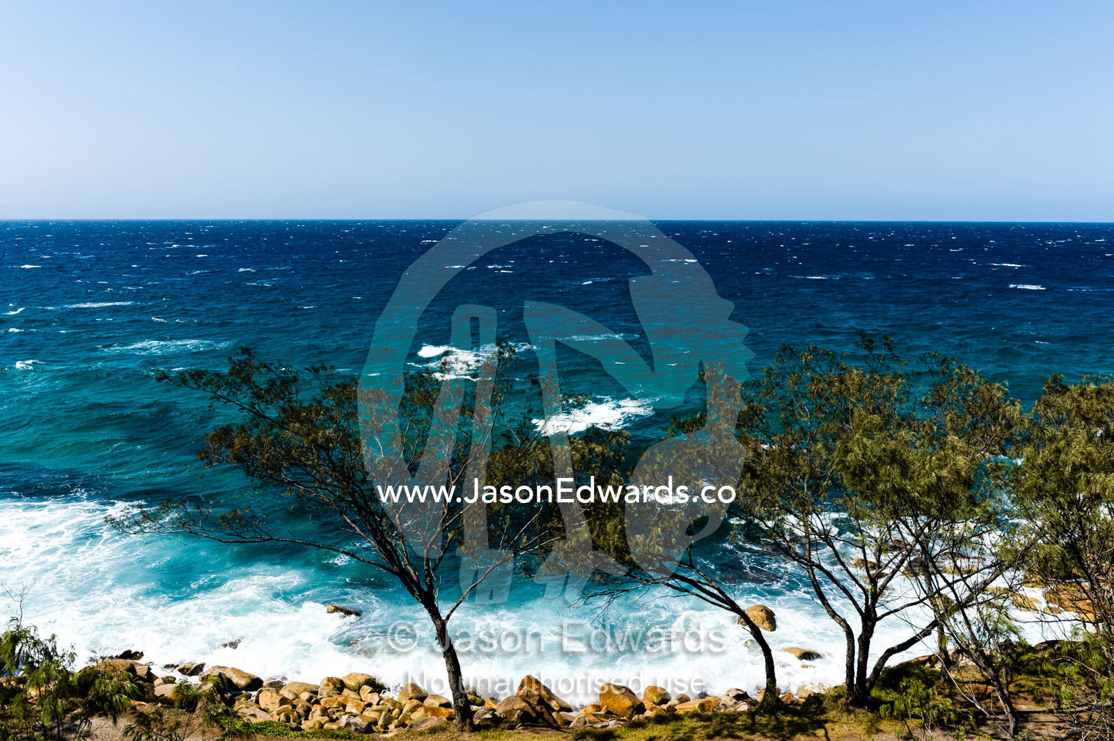 Sheoak trees looking over waves breaking on a rocky shoreline. Trial Bay Goal, Arakoon National Park, New South Wales, Australia.