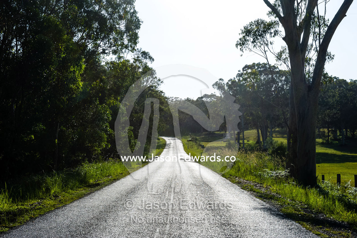 A country road through lush green farmland. South West Rocks, New South Wales, Australia.