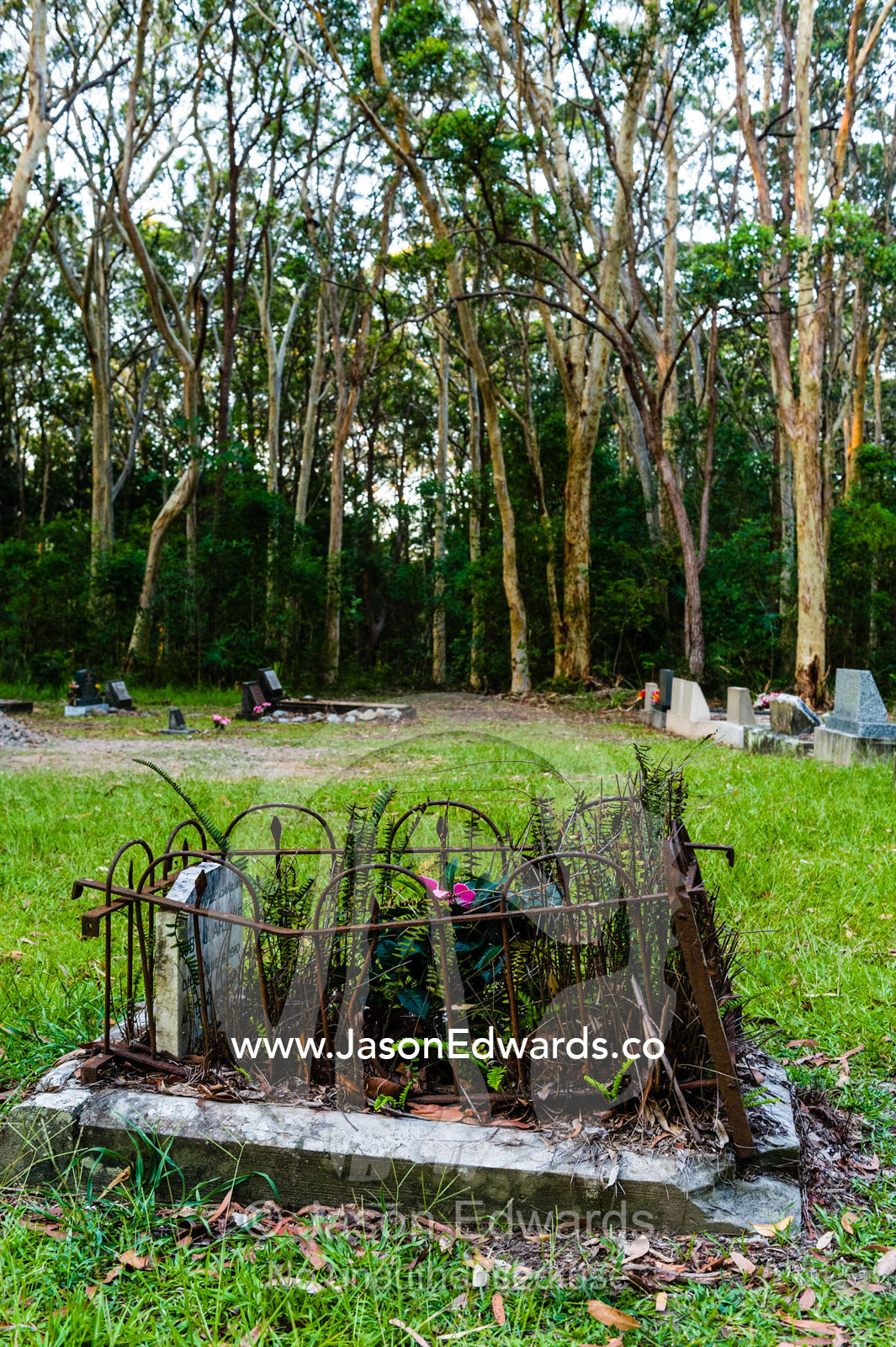 Weeds in a child's grave in a forest cemetery in a rural town. Arakoon Cemetery, Arakoon, New South Wales, Australia.
