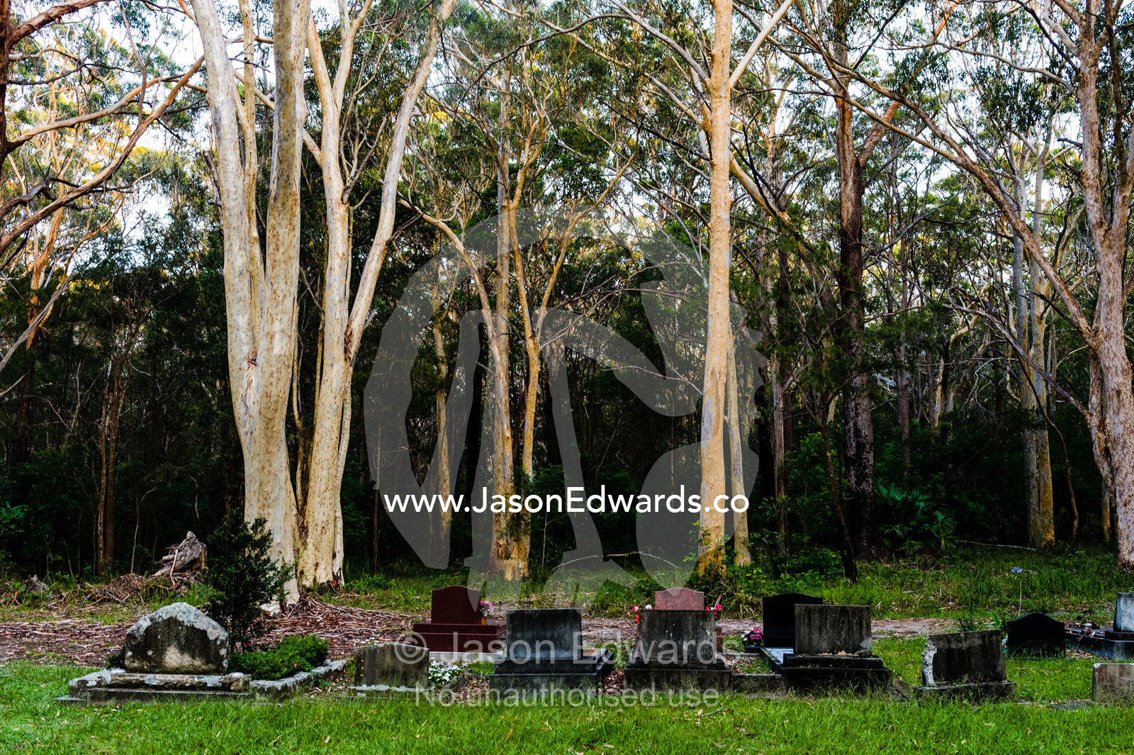 Graves and headstones in a forest cemetery in a rural town. Arakoon Cemetery, Arakoon, New South Wales, Australia.