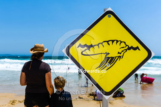 A Bluebottle Jellyfish warning sign on a beach in summer. South West Rocks, New South Wales, Australia.