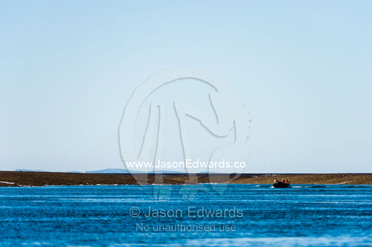 A zodiac carries tourists up a channel in an exposed reef at low tide. Montgomery Reef, Camden Sound, Kimberley Coast, Western Australia, Australia.
