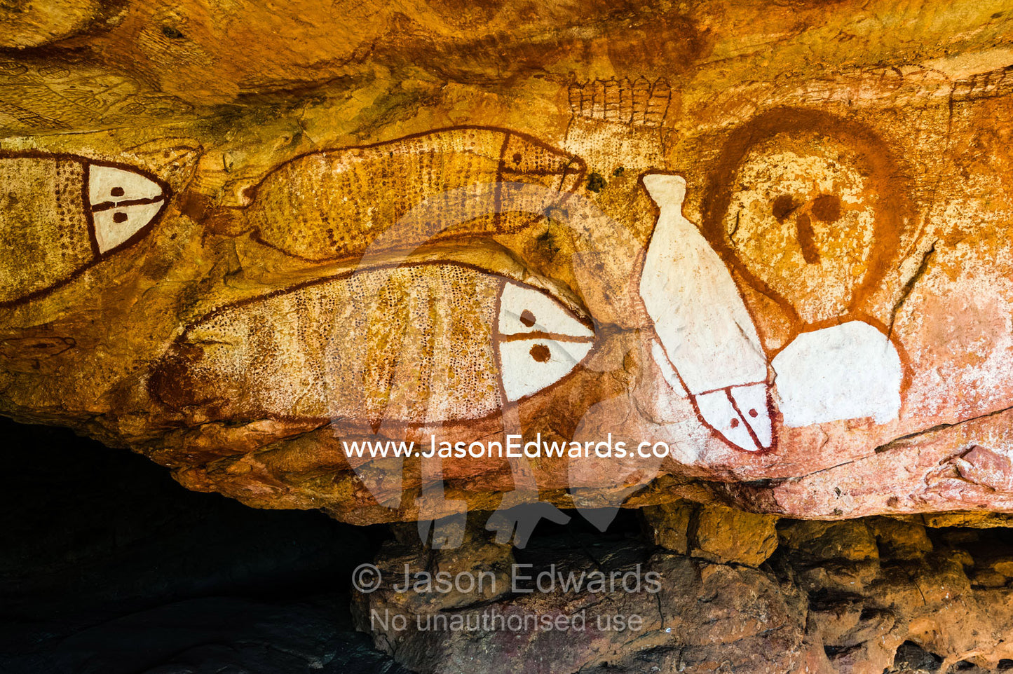 The rich ochre colours of an Aboriginal rock painting gallery featuring The Great Fish Chase. Raft Point, Doubtful Bay, Buccaneer Archipelago, Kimberley Coast, Western Australia, Australia.