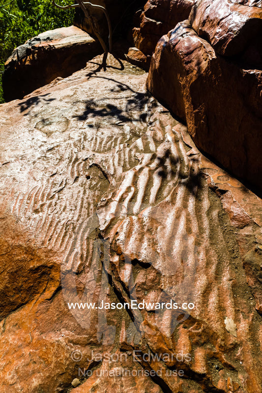 Fossil ripple marks on a sandstone ledge on a desert cliff. Raft Point, Doubtful Bay, Buccaneer Archipelago, Kimberley Coast, Western Australia, Australia.