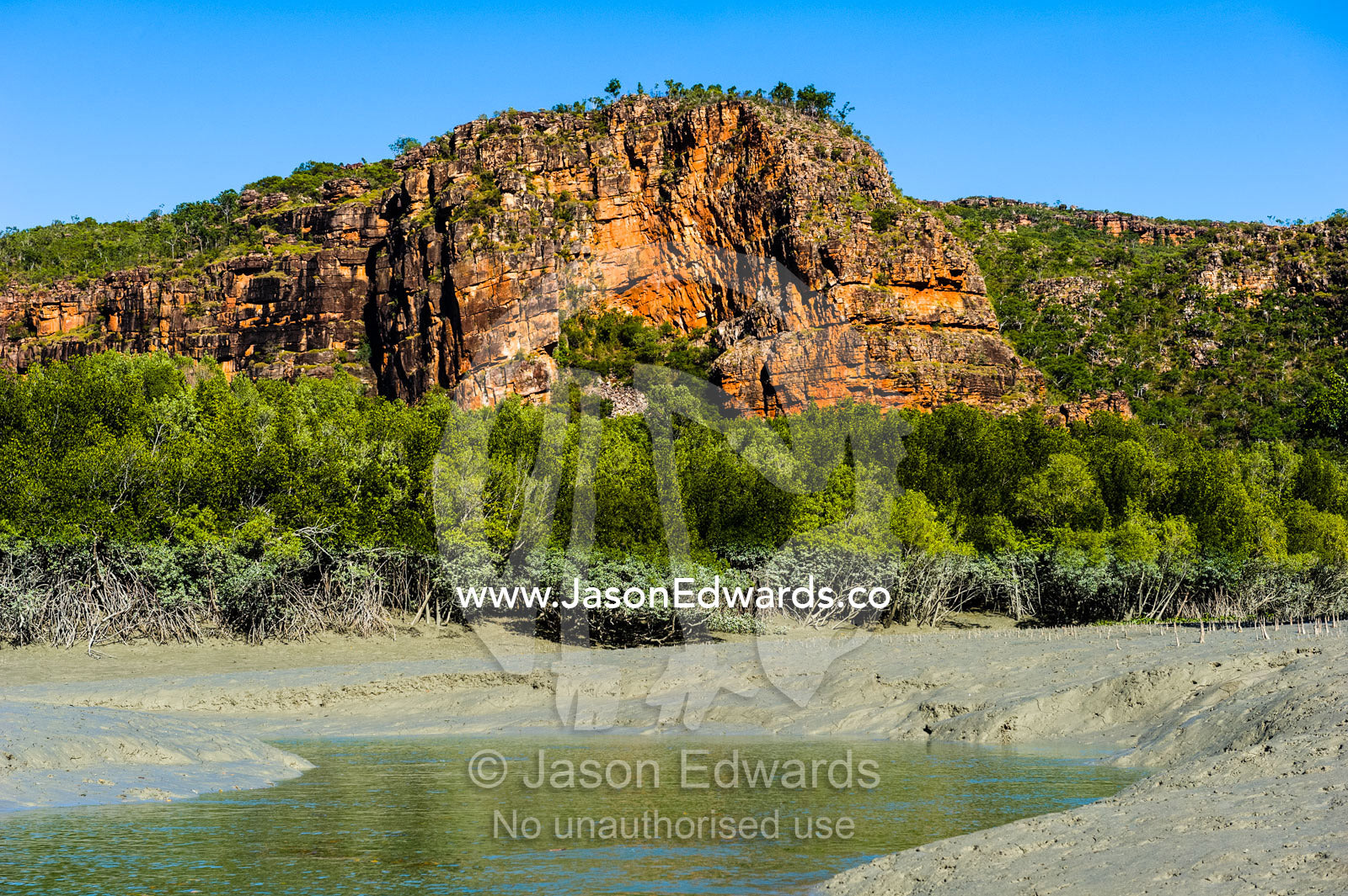 A mangrove forest tributary channel beneath a sandstone cliff at low tide. Porosus Creek, Hunter River, Kimberley Coast, Western Australia, Australia.