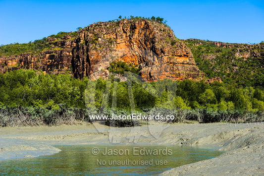 A mangrove forest tributary channel beneath a sandstone cliff at low tide. Porosus Creek, Hunter River, Kimberley Coast, Western Australia, Australia.