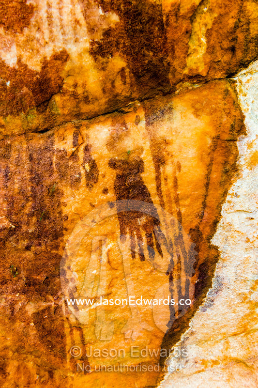 Ancient Aboriginal Gwion Gwion rock paintings also know as Bradshaw rock art estimated at 50,000 years old. Jar Island, Vansittart Bay, Kimberley Coast, Western Australia, Australia.