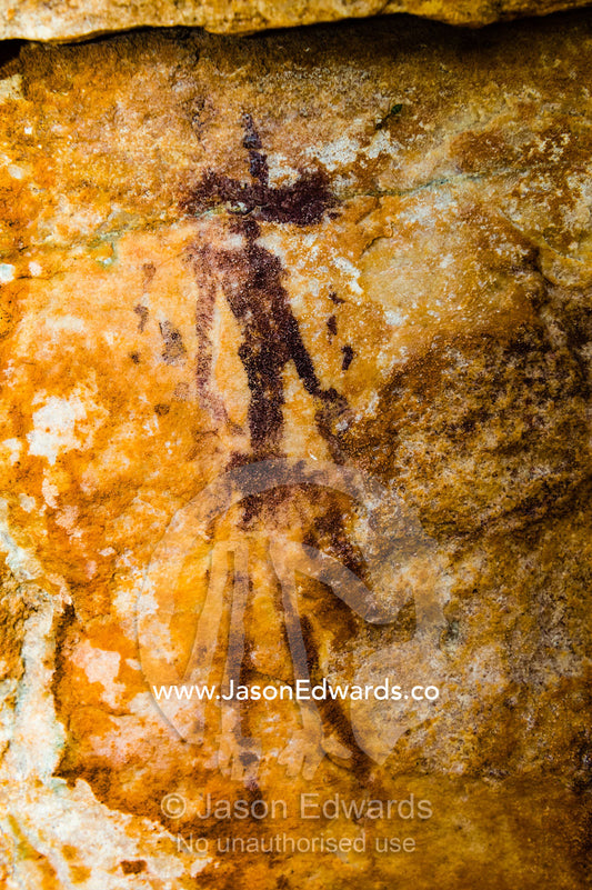 Ancient Aboriginal Gwion Gwion rock paintings also know as Bradshaw rock art featuring a animal figures estimated at 50,000 years old on a cave wall. Jar Island, Vansittart Bay, Kimberley Coast, Western Australia, Australia.