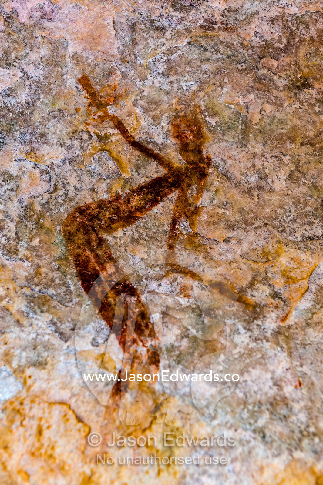 Ancient Aboriginal Gwion Gwion rock paintings also know as Bradshaw rock art featuring a animal figures estimated at 50,000 years old on a cave wall. Jar Island, Vansittart Bay, Kimberley Coast, Western Australia, Australia.