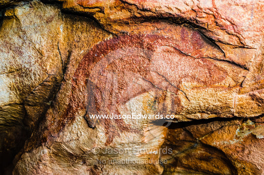 Ancient Aboriginal Gwion Gwion rock paintings also know as Bradshaw rock art featuring a animal figures estimated at 50,000 years old on a cave wall. Jar Island, Vansittart Bay, Kimberley Coast, Western Australia, Australia.