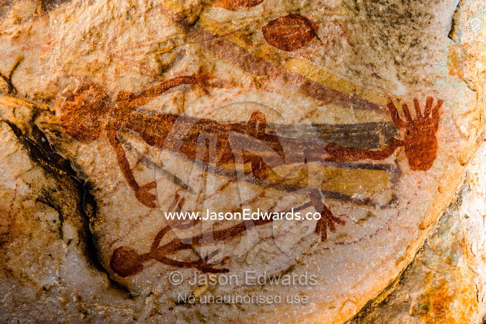 Ancient Aboriginal Gwion Gwion rock paintings also know as Bradshaw rock art featuring a animal figures estimated at 50,000 years old on a cave wall. Jar Island, Vansittart Bay, Kimberley Coast, Western Australia, Australia.