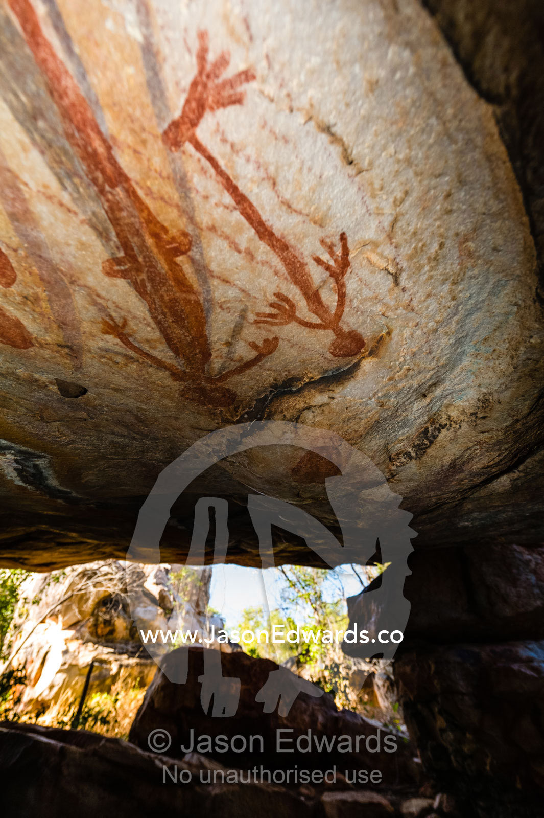 Ancient Aboriginal Gwion Gwion rock paintings also know as Bradshaw rock art featuring a animal figures estimated at 50,000 years old on a cave wall. Jar Island, Vansittart Bay, Kimberley Coast, Western Australia, Australia.
