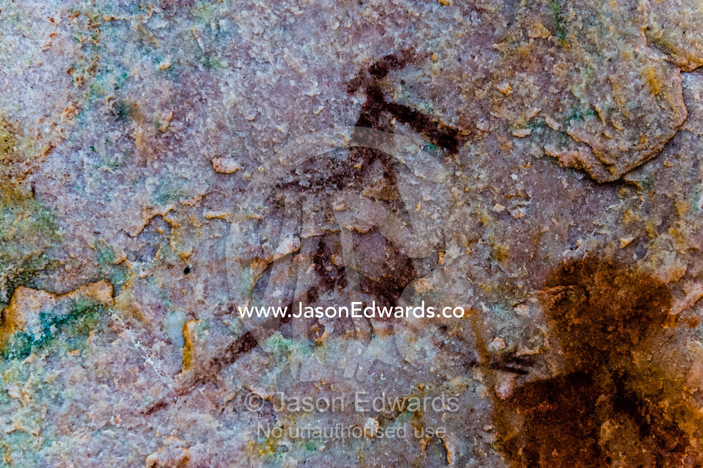 Ancient Aboriginal Gwion Gwion rock paintings also know as Bradshaw rock art featuring a wallaby figures estimated at 50,000 years old on a cave wall. Jar Island, Vansittart Bay, Kimberley Coast, Western Australia, Australia.