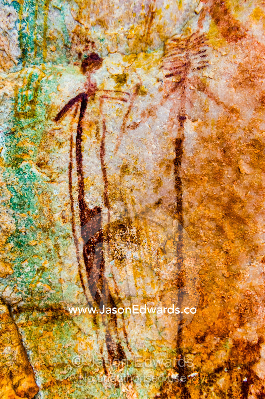 Ancient Aboriginal Gwion Gwion rock paintings also know as Bradshaw rock art featuring a animal figures estimated at 50,000 years old on a cave wall. Jar Island, Vansittart Bay, Kimberley Coast, Western Australia, Australia.