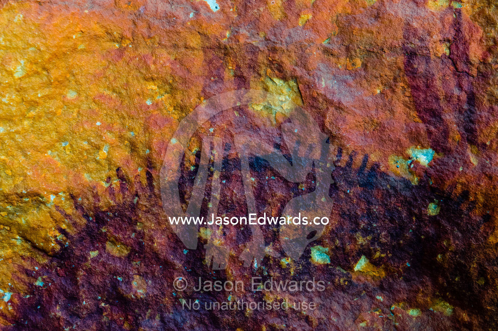 Ancient Aboriginal Gwion Gwion rock paintings also know as Bradshaw rock art featuring an echidna estimated at 50,000 years old on a cave wall. Jar Island, Vansittart Bay, Kimberley Coast, Western Australia, Australia.