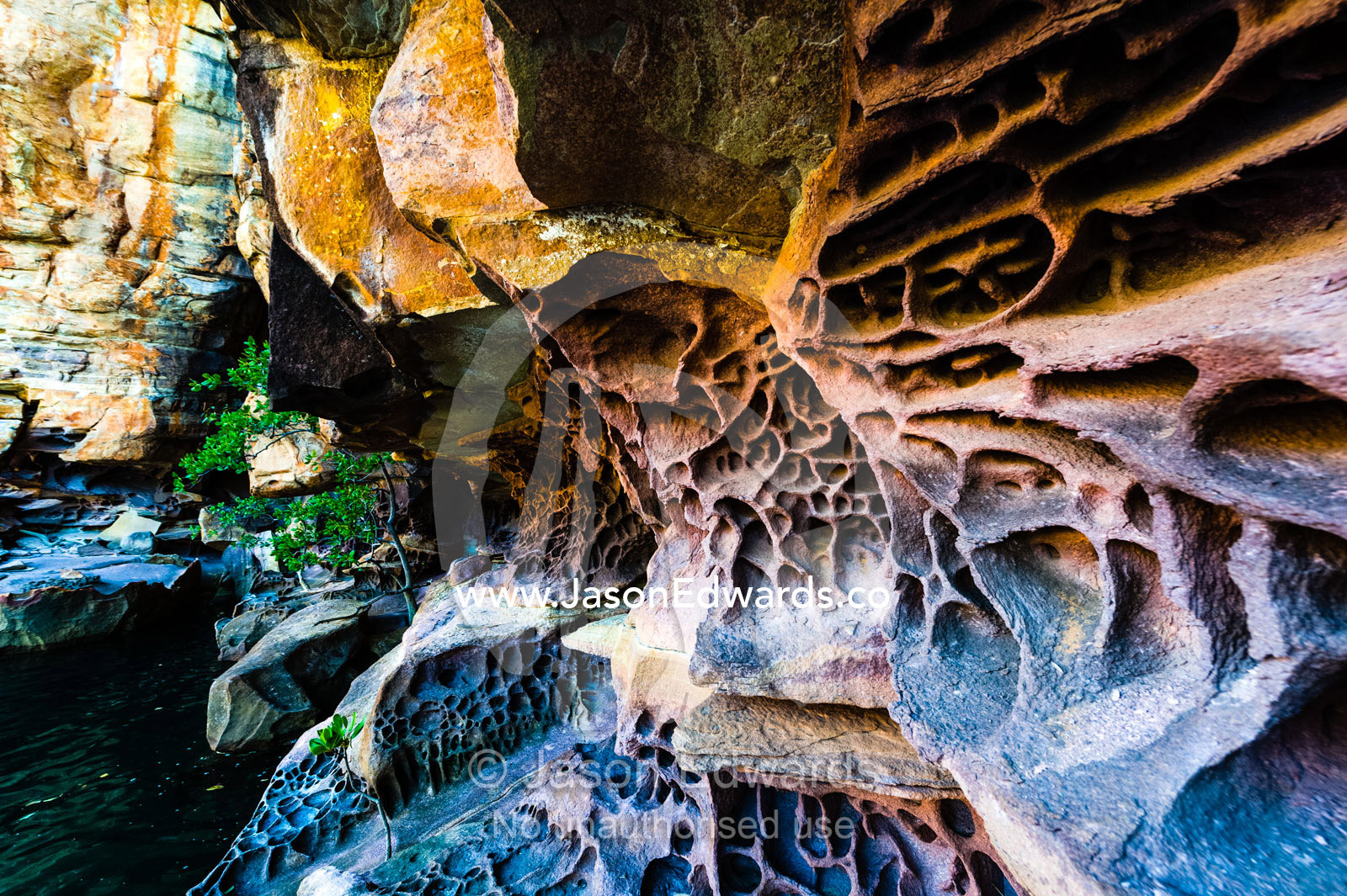 Honey Comb weathering and erosion in a sandstone cliff. King George River, King George Falls, Kimberley Coast, Western Australia, Australia.