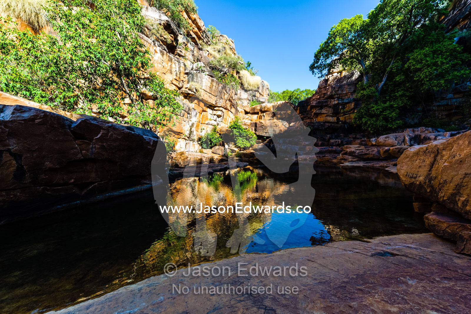 A freshwater waterhole in a gorge provides shelter from the desert heat. Calamity Bay, Koolama Bay, Kimberley Coast, Western Australia, Australia.