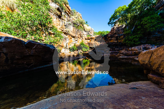 A freshwater waterhole in a gorge provides shelter from the desert heat. Calamity Bay, Koolama Bay, Kimberley Coast, Western Australia, Australia.