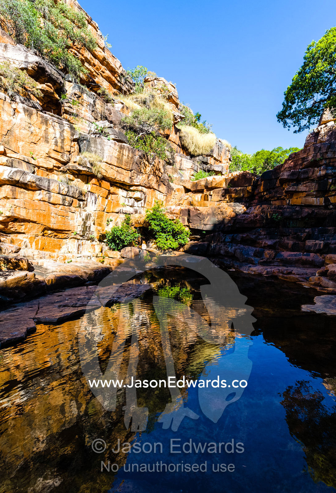 A freshwater waterhole in a gorge provides shelter from the desert heat. Calamity Bay, Koolama Bay, Kimberley Coast, Western Australia, Australia.