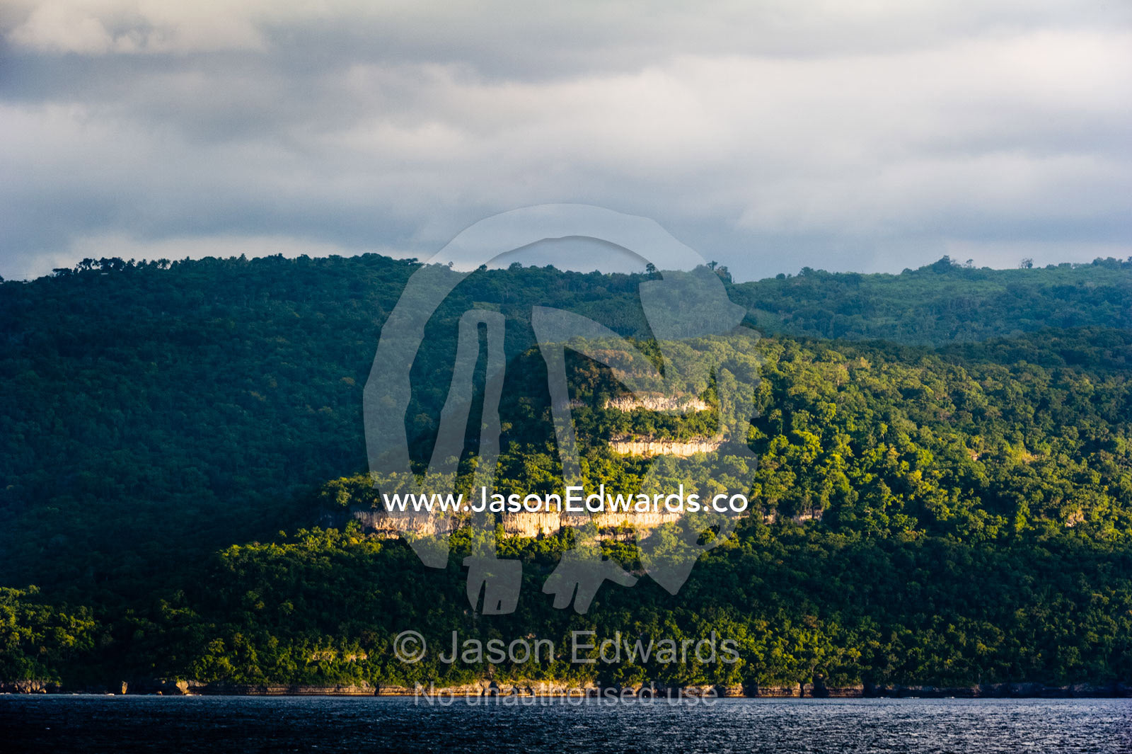 Rainforest covering impenetrable mountain slopes in East Timor. Com, Sunda Islands, Timor-Leste, East Timor.
