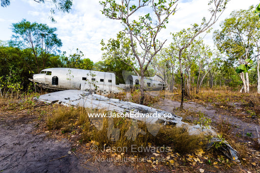 The wrecked wing and fuselage of a DC-3 in the forest after crashing during WWII. Jar Island, Vansittart Bay, Kimberley Coast, Western Australia, Australia.