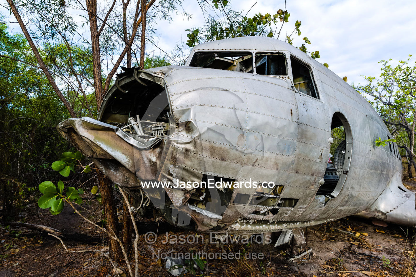 The wrecked cockpit and fuselage of a DC-3 in the forest after crashing during WWII. Jar Island, Vansittart Bay, Kimberley Coast, Western Australia, Australia.