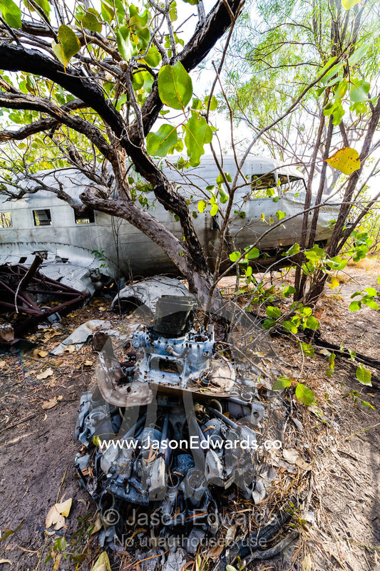 The wrecked engine of a DC-3 in the forest after crashing during WWII. Jar Island, Vansittart Bay, Kimberley Coast, Western Australia, Australia.