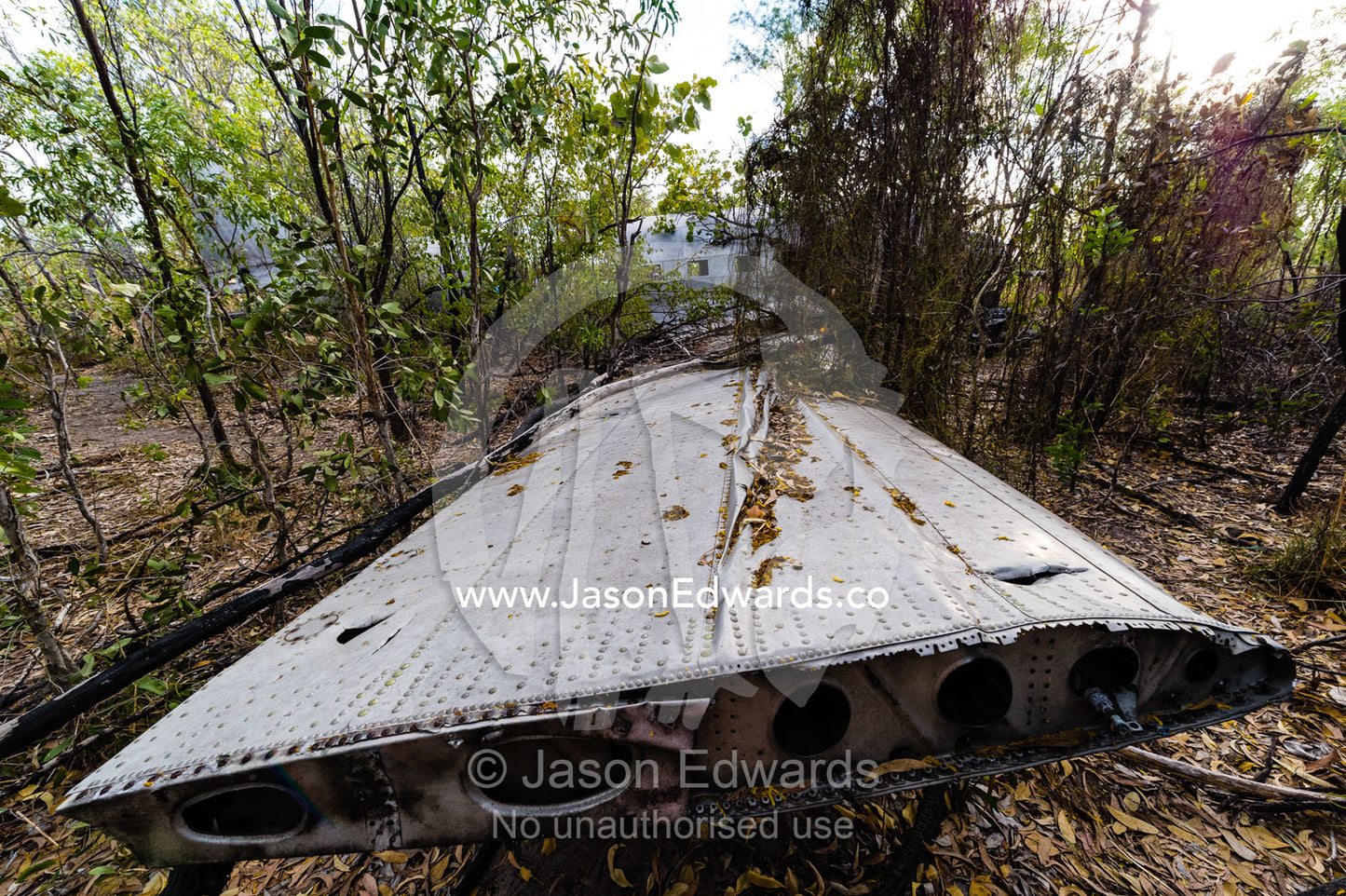 The wrecked wing of a DC-3 in the forest after crashing during WWII. Jar Island, Vansittart Bay, Kimberley Coast, Western Australia, Australia.