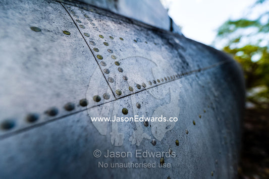 The rivot panels on the fuselage of a wrecked DC-3 in the forest after crashing during WWII. Jar Island, Vansittart Bay, Kimberley Coast, Western Australia, Australia.
