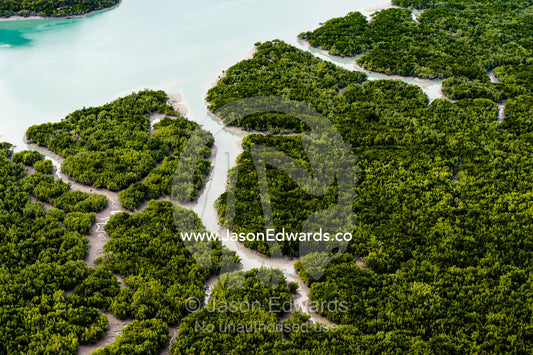 An aerial view of river tidal inlets winding their way through mangrove forests. Mitchell River National Park, Mitchell Plateau, Kimberley Coast, Western Australia, Australia.